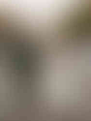 August wedding New England bride and groom middle of Main Street