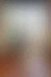 September wedding month New England bride and groom with sunflowers