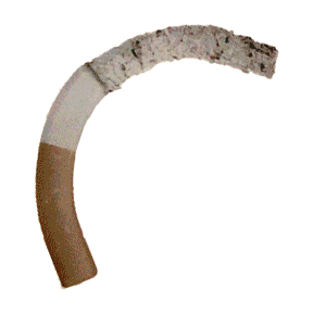 hazal_graphic4.gif