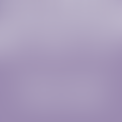 Em defesa da vida: Mulheres lutam por adequações no Conselho Municipal