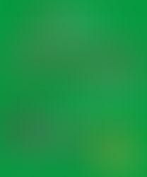 Lançamento do plano popular de emergência