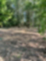 landclearing.jpg