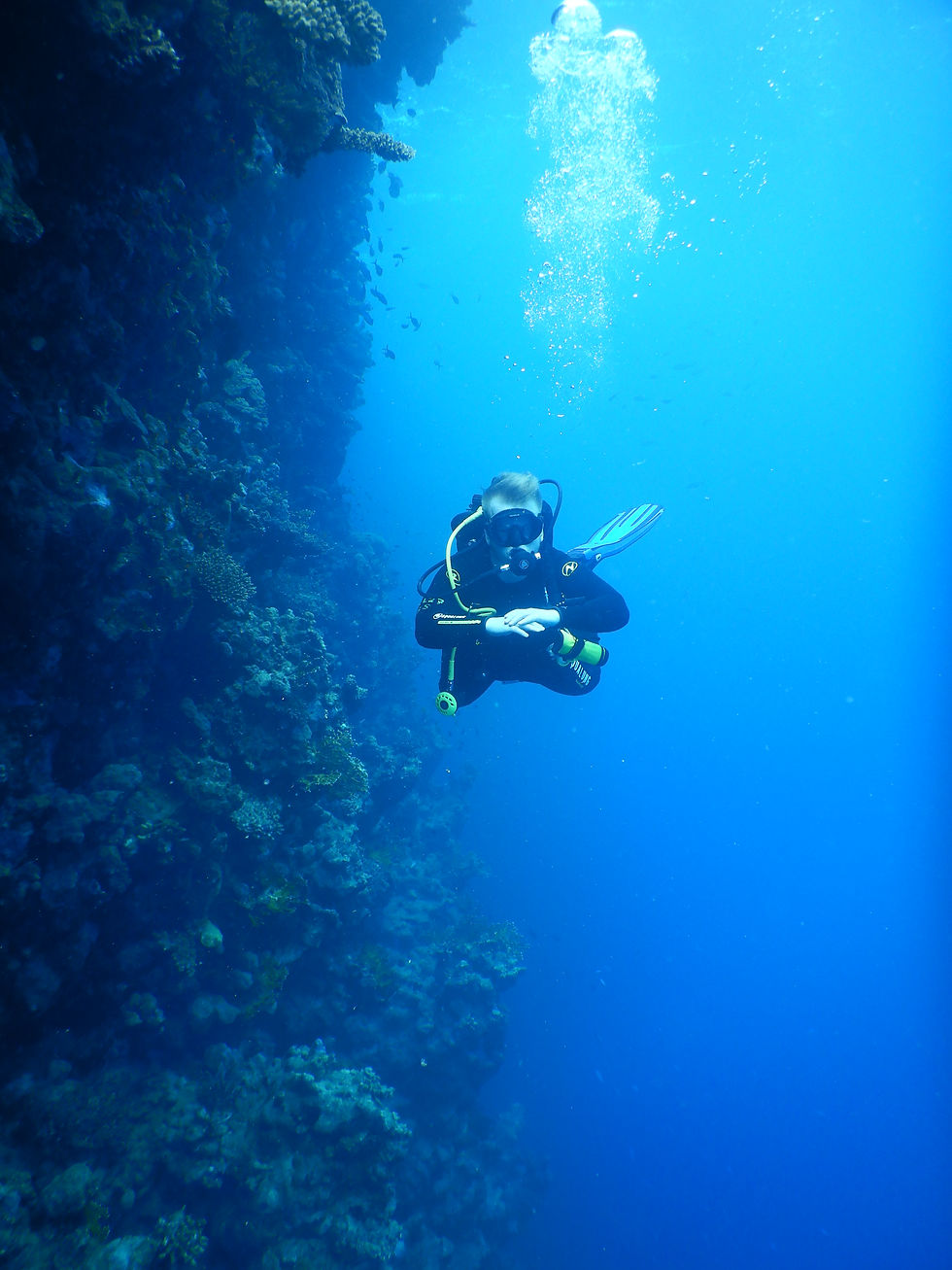 Deep diver kurssi Punaisella merellä