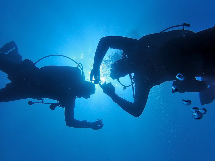 Kokenut sukeltaja veden alla PADI Master Scuba Diver -tasoisessa laitesukelluksessa – master scuba diver