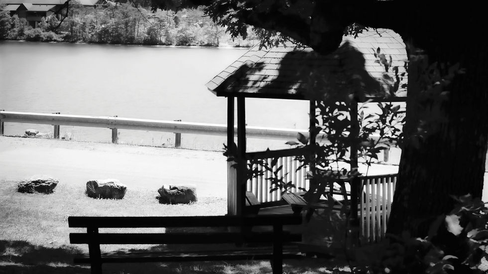 Black-and-white image of a lakeside pavilion at Rocky Gap Lake with slanted roof, railings, steps, planters, and a guardrail along the water; tree branches frame the scene, evoking peaceful natural and civic harmony