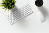 White keyboard, mouse, and coffee cup on a white desk with green plant.