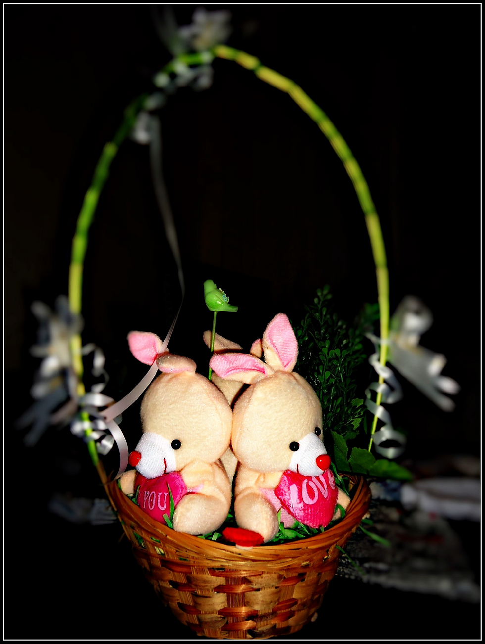 Кроличья норка