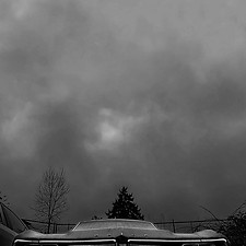 5bf14c_1d2c39a7040a4fa79e9fd89c12fb7a37~mv2 (1).jpg