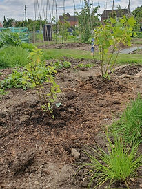 PHOTO-2025-05-06-12-50-12 (2).jpg