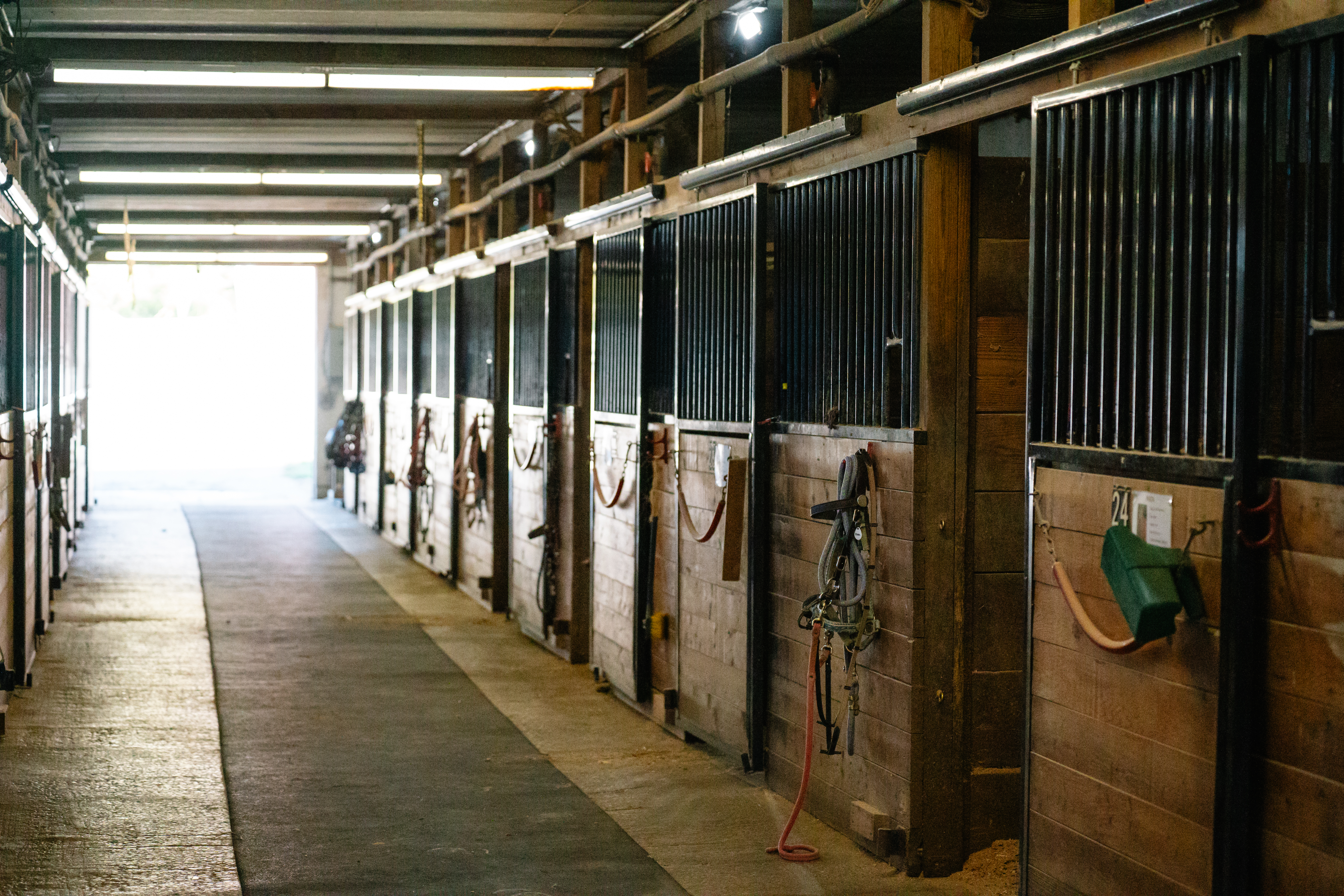 Cincinnati Therapeutic Riding gallery image 8