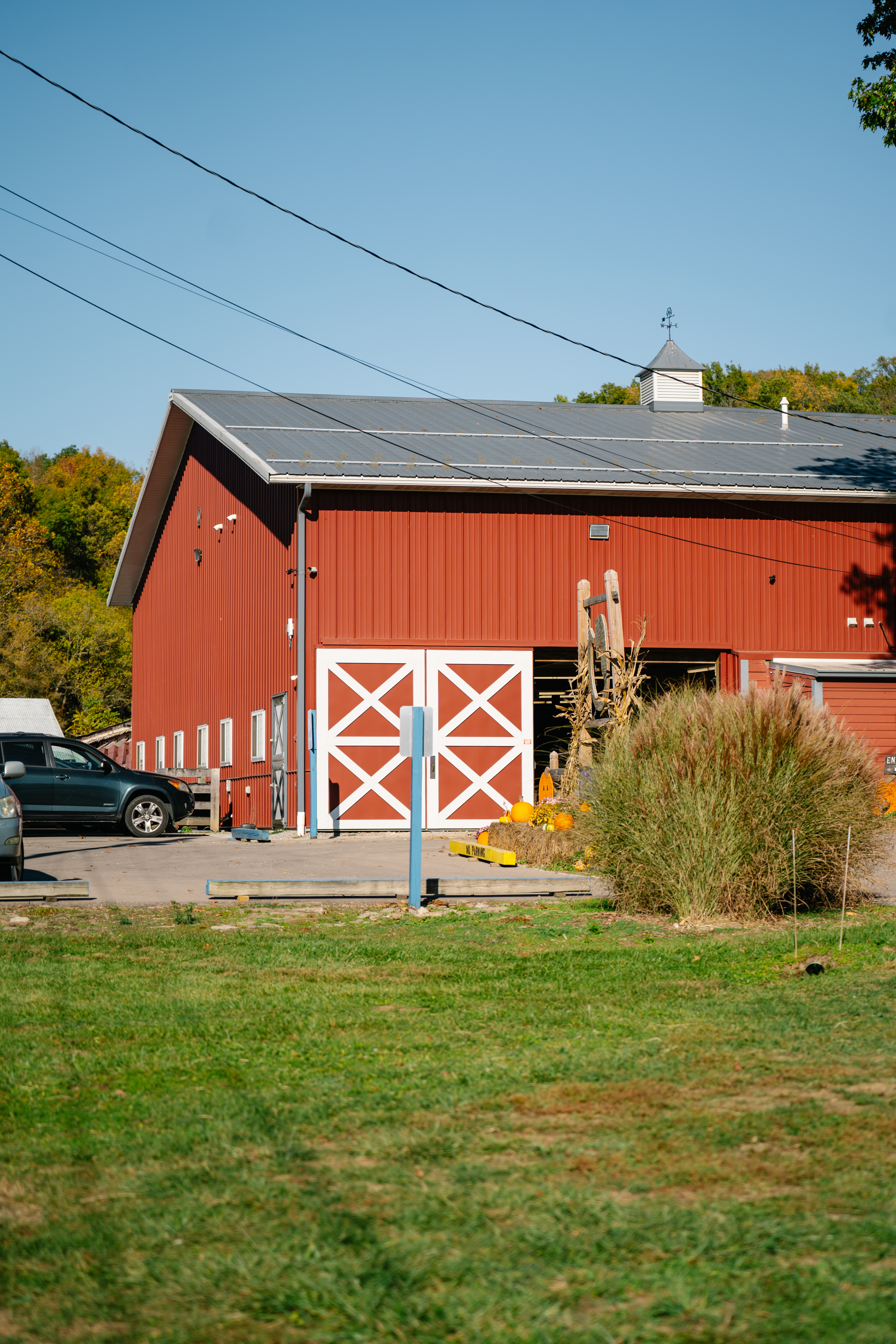 Cincinnati Therapeutic Riding gallery image 7