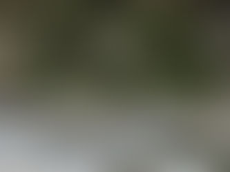 ▋ 建名在哪裡04  #素養實踐 #啟發