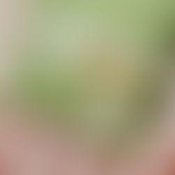 Marca catarinense entra na alta temporada com atuação forte em destinos litorâneos e agenda de eventos