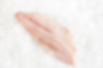 Blue Eye - Fillets