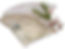 John Dory - Fillets