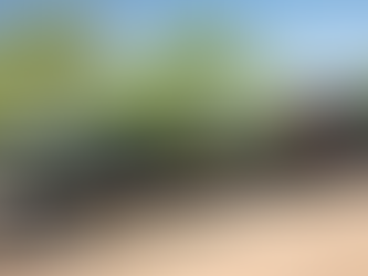 Transport de Machinerie Lourde : Un Service Fiable avec Transport Martin