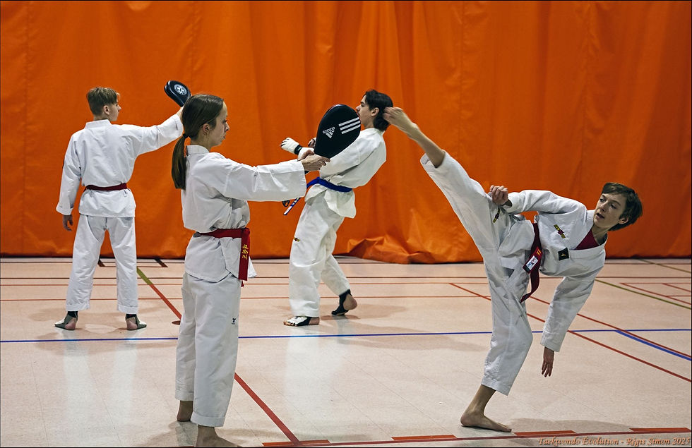 TAEKWONDO ÉVOLUTION