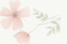 ChatGPT Image 30 juil. 2025, 02_28_04.png
