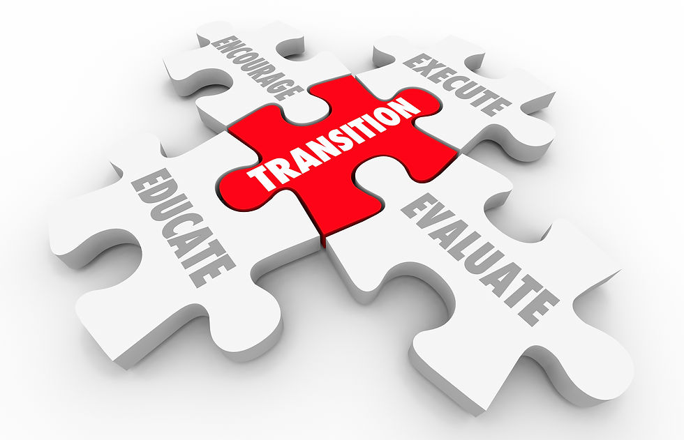 Transition Leading Change Execute Evaluate Puzzle Pieces 3d Illustration