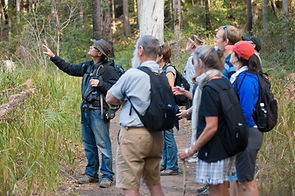 IMG_9963.jpg