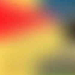 Final NAIODC photoshoot tonight! 