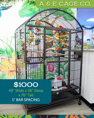 A & E Cage Co. 9004836 XL Bird Cage | Fins and Feathers Sa