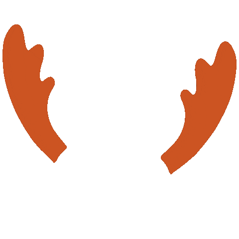 Bois de renne illustration