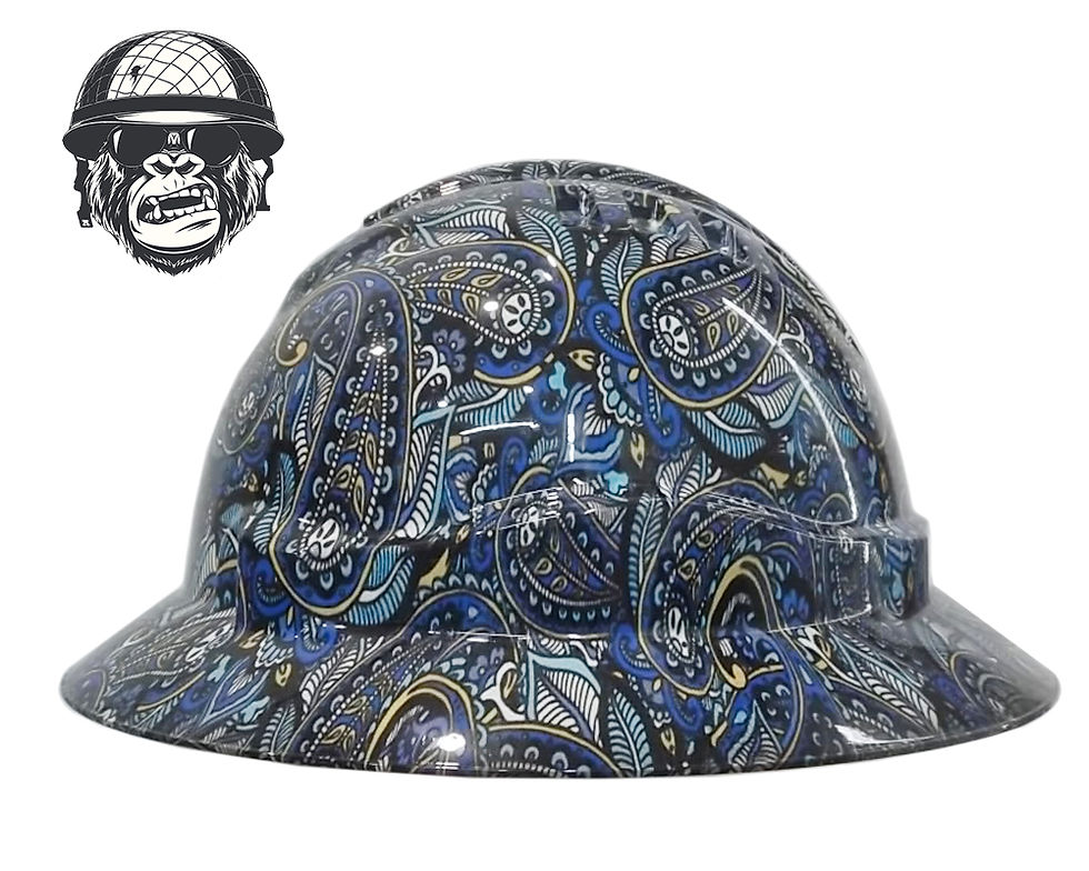 Thumbnail: Paisley Blue Pro Choice Wide