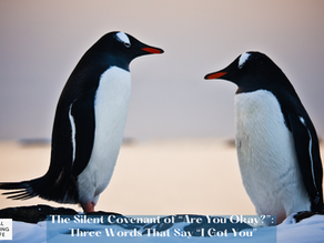 The Silent Covenant of "Are You Okay?": Three Words That Say "I Got You"