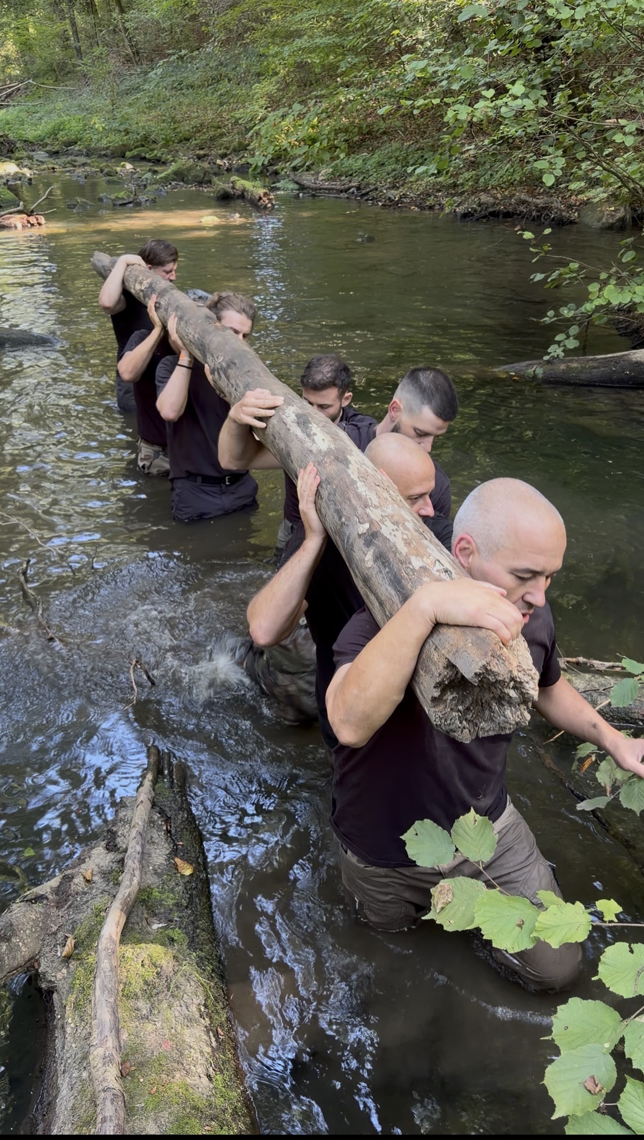 Participants coordinating a group log carry through water