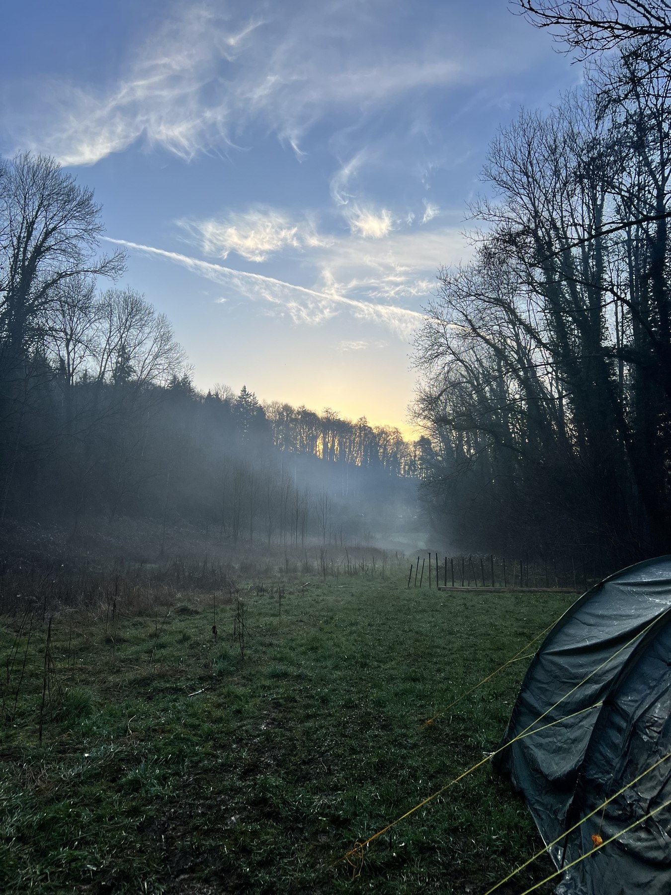 Misty woodland beside a field camp at dawn