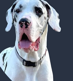 Screenshot_20250608_230217_Gallery (1).png