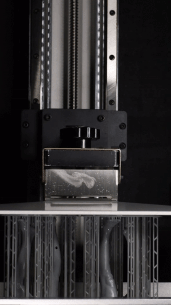 Resin Print Of Model