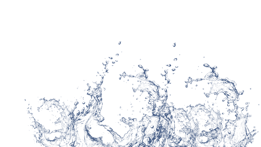 splash agua quintal.png