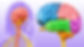 Lobe Syndrome.jpg
