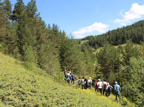 DOĞA YÜRÜYÜŞÜ ZORLUK DERECELERİ
