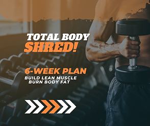 Total Body SHRED!.png