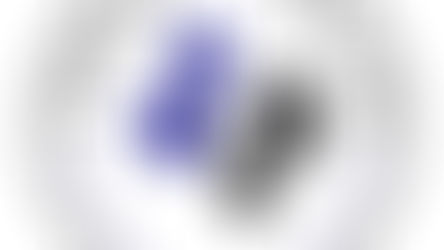 Texas Elite Spartans Branding Announcement