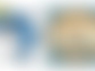 Waterpolo Cronulla Sharks - Michael's Interview with Claire and Sophie