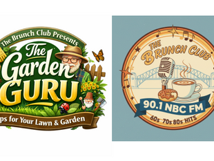 Gardening Tips - Look After Your Lawn In Summer