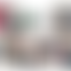 Discussions on GRC's Planning Proposal for Biodiversity, Character and the Foreshore Scenic Protection Area