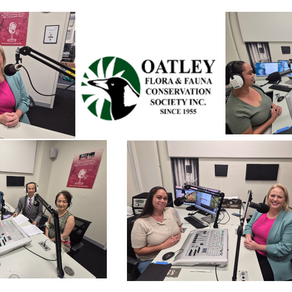 Discussions on GRC's Planning Proposal for Biodiversity, Character and the Foreshore Scenic Protection Area