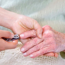 grooming clipping elderly nails.jpg