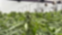 Screenshot 2025-05-29 at 21.39.14.png