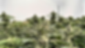 Screenshot 2025-05-29 at 21.41.09.png