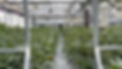Screenshot 2025-05-29 at 21.40.27.png