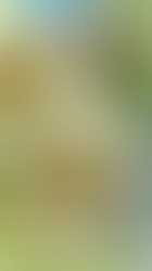 Pesto and asparagus gnocchi