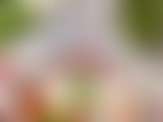 Tomato Sauce and Burrata Gnocchi