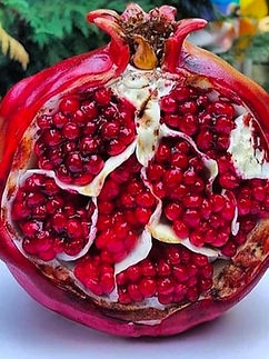 WhatsApp Image 2026-01-14 at 14.31.02.jpeg