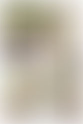 CASARSE EN OTOÑO - NATURALEZA PURA